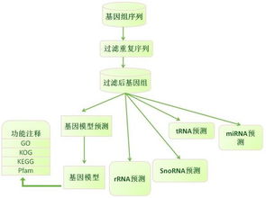 生物信息技术的介绍 信息技术与生命科学的交汇点